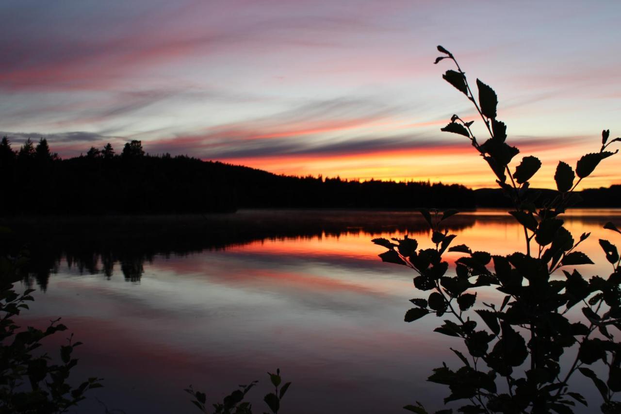 Lakeview Houses Sweden فالون المظهر الخارجي الصورة