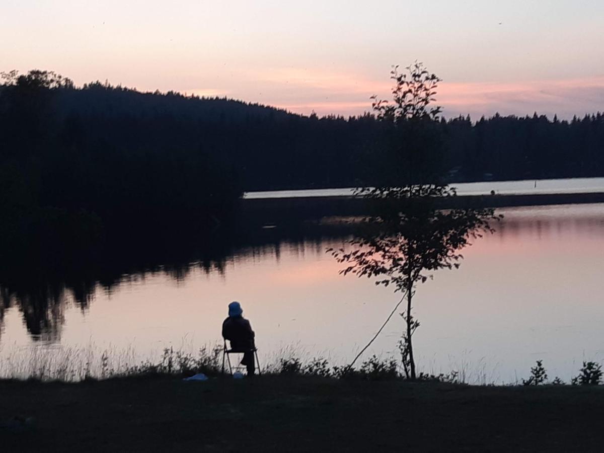 Lakeview Houses Sweden فالون المظهر الخارجي الصورة